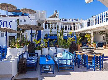 《宝可梦传说 阿尔宙斯》发布新介绍预告 本月28日全球发售